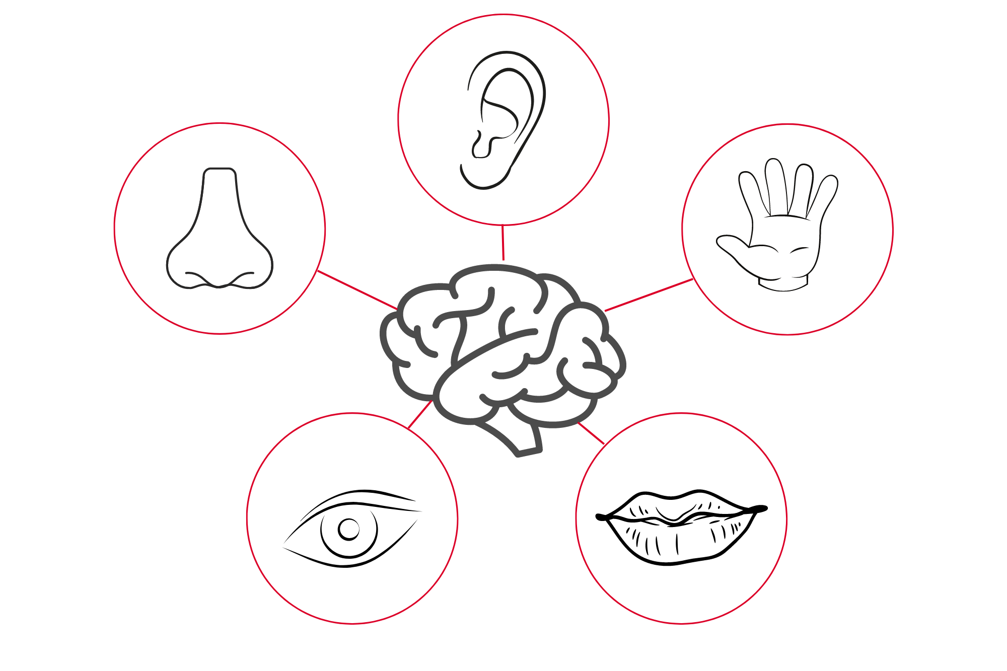personaltraining koeln langhantel strongmove neuroathletik gesundheit ernaehrung