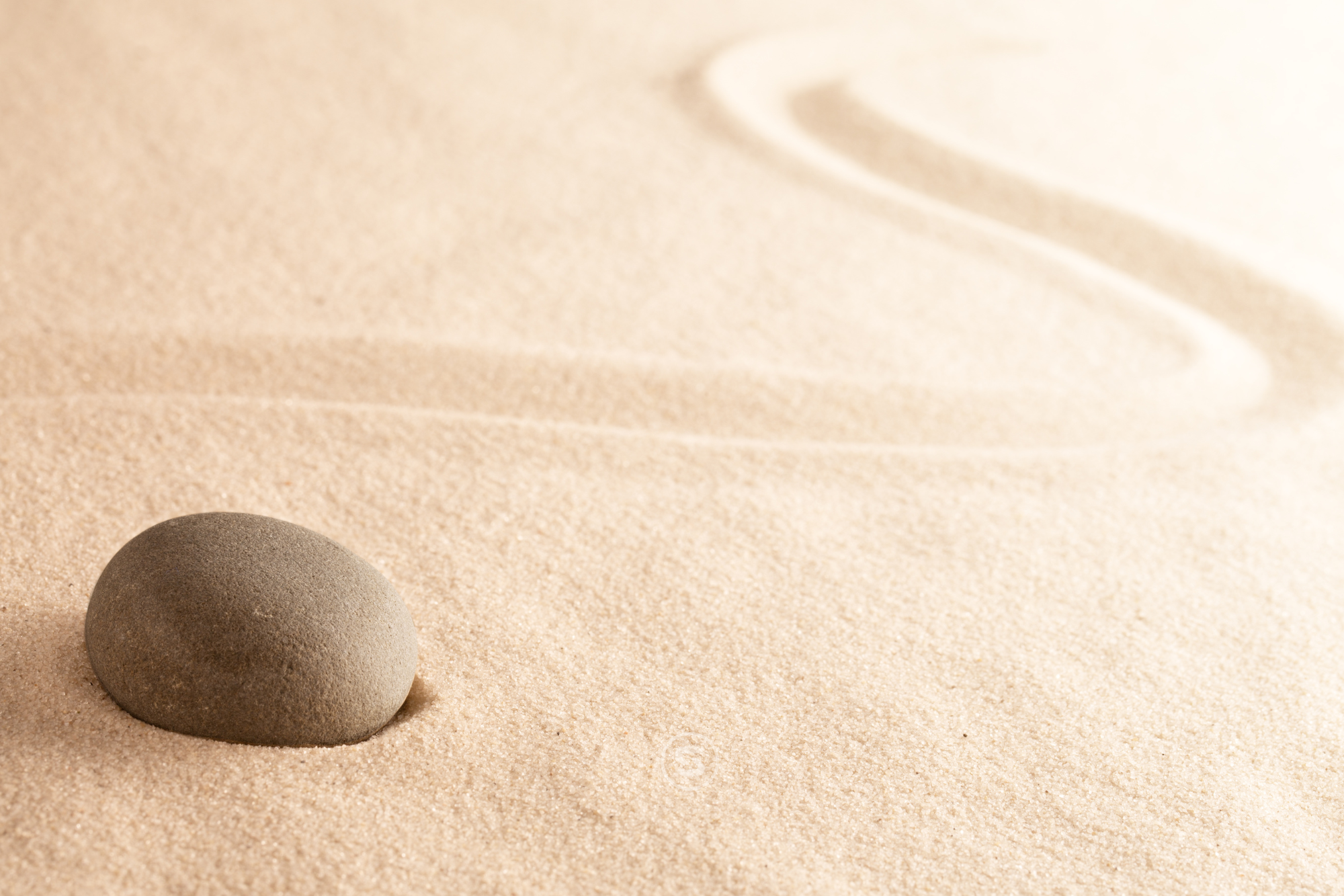 personaltraining koeln langhantel strongmove coaching gesundheit ernaehrung mindset
