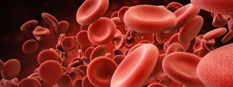 Erythrozyten_rote_Blutkörperchen_Anemie2