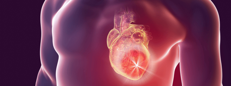 lpa_apob_cholesterin_herzgesundheit_blutwerte