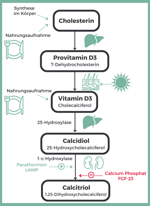 vitamin D3